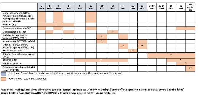 Fig. 1: Nuovo calendario vaccinale per età contenuto nel Piano Nazionale di Prevenzione Vaccinale 2023-2025