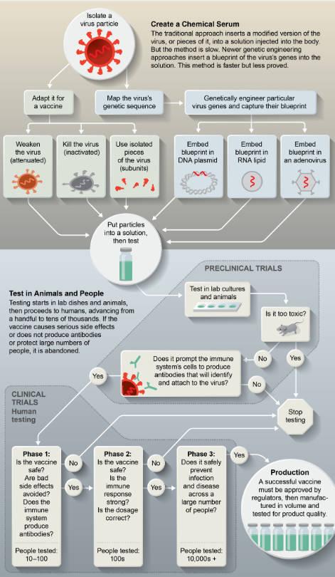 Fig.1: tratta dal Paper "Genetic Engineering Could Make a COVID-19 Vaccine in Months Rather Than Years".