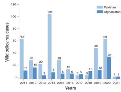 Fig. 1 Casi di poliovirus selvaggi segnalati in Pakistan e Afghanistan nei primi 10 mesi di ogni anno dal 2011 al 2021